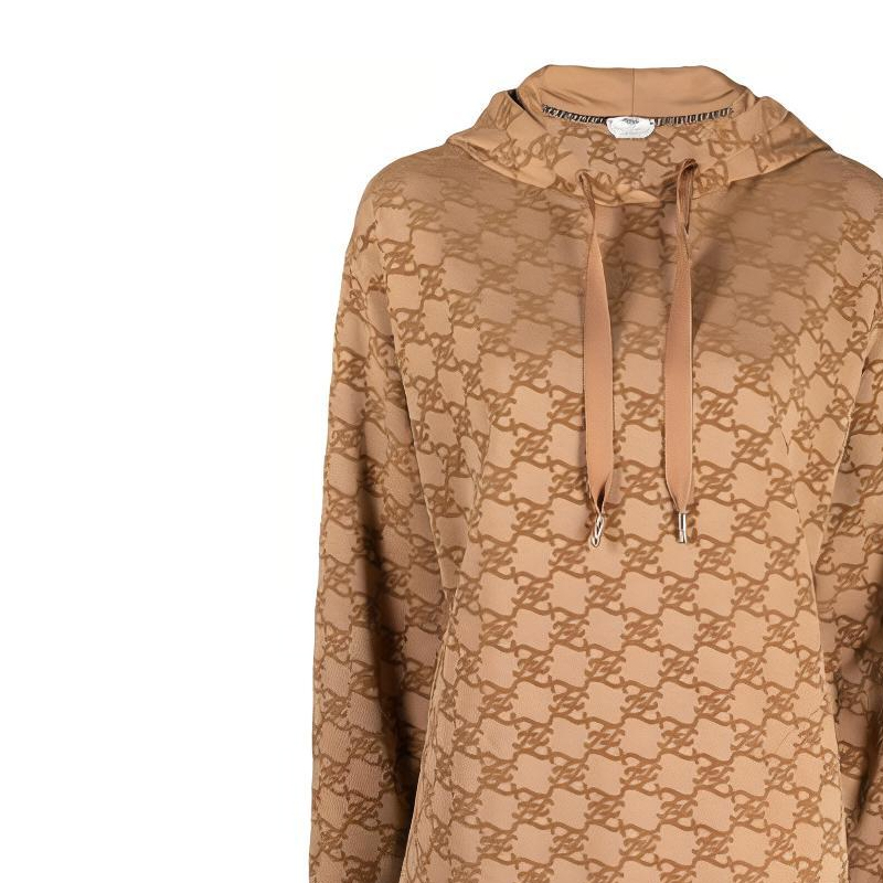 Женское худи Fendi Logo Hoodie (коричневое) — фото 5