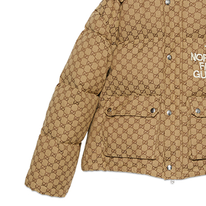 Женская куртка Gucci x /THE NORTH FACE GUCCI x THE NORTH FACE GG (коричневая) — фото 2