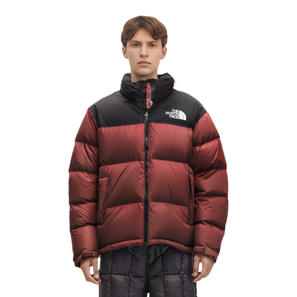 THE NORTH FACE 1996 Retro Nuptse 700   