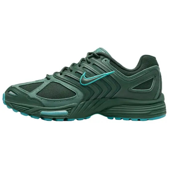 Nike Air Pegasus 2K5 'Fir Bicoastal'