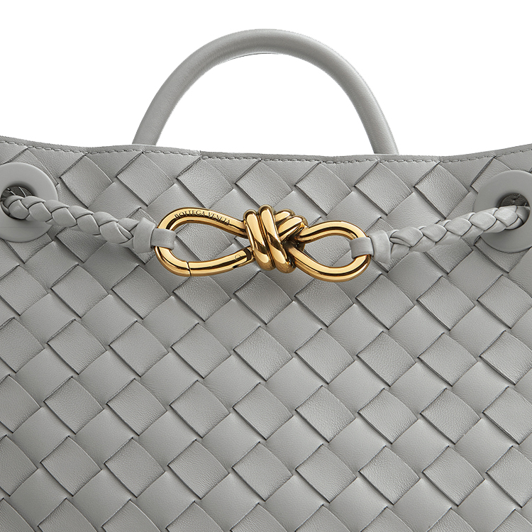 Женская сумка Bottega Veneta Intrecciato Andiamo (серебряный) — фото 6