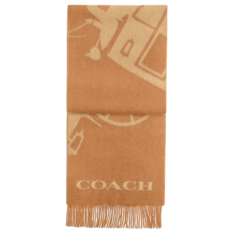 Женская сумка COACH (коричневая)