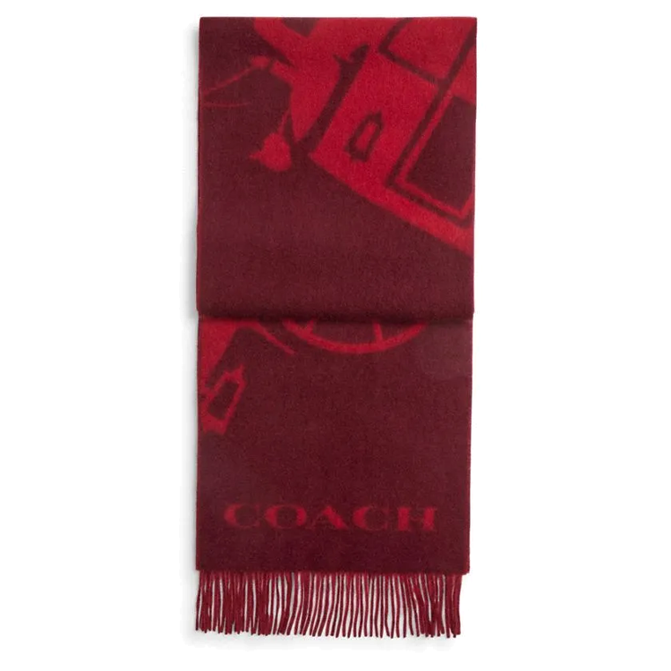 Сумка COACH (красная)