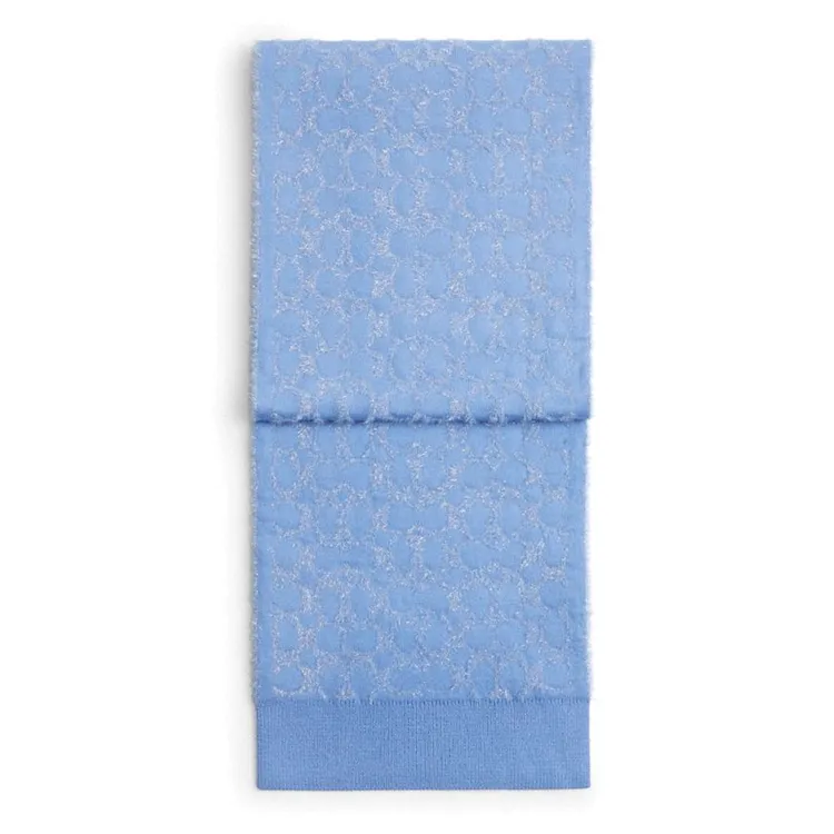 COACH Polyamide, Acrylic, Metal Coated Fiber, Sheep Wool Knit Scarves Unisex Blue