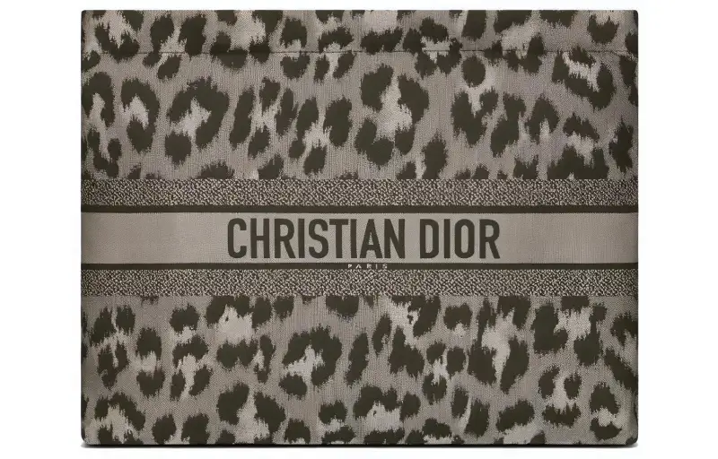 DIOR Travel Technical Fabric Clutch Coin Purse Shoulder Bag Women's Gray