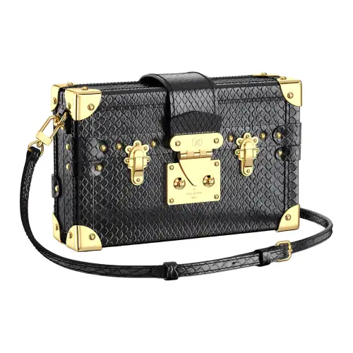 LOUIS VUITTON PETITE MALLE Python Skin Hard Box Crossbody Bag, Shoulder Bag Women's Black