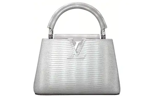 LOUIS VUITTON Lizard Skin Kapsyn Shoulder Bag, Crossbody Bag, Handbag Mini Women's Silver