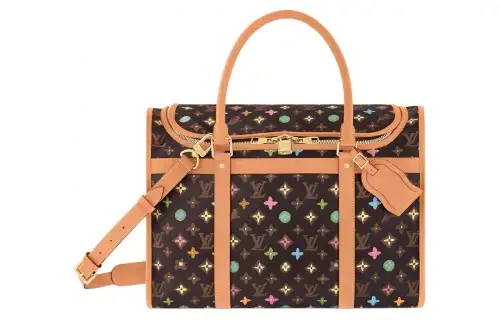 LOUIS VUITTON By Tyler The Creator Dog Bag Chocolate Craggy Monogram