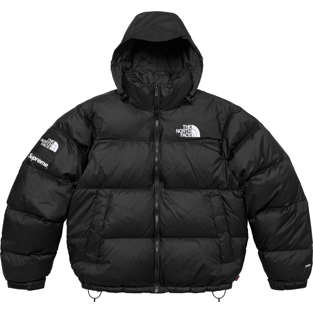 Supreme x The North Face SUP-FW24-152 — купить одежду известных