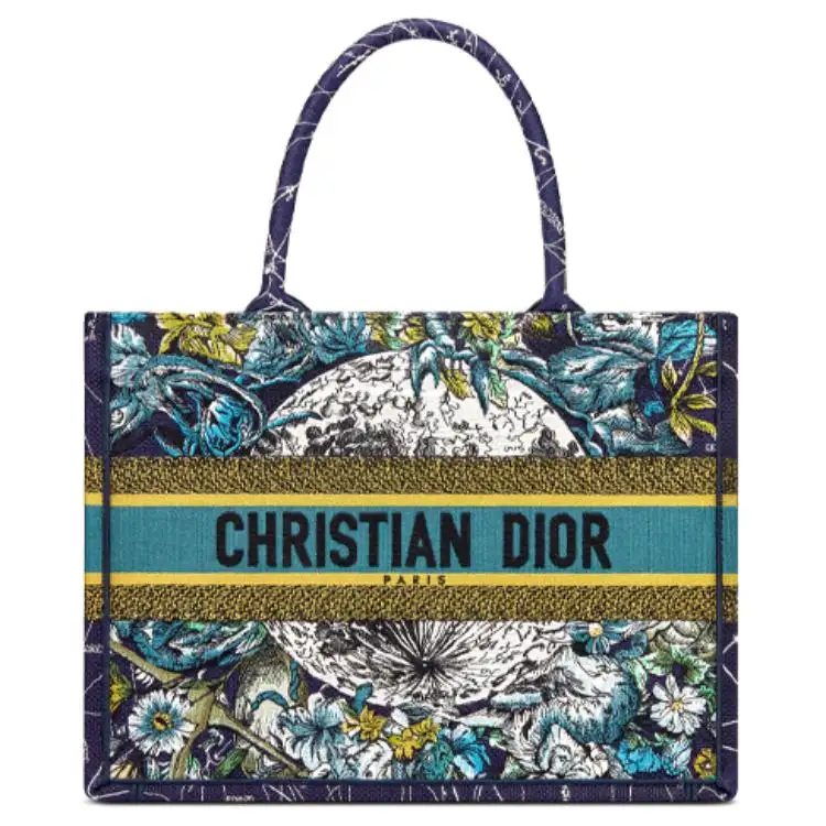 DIOR BookTote Handbags