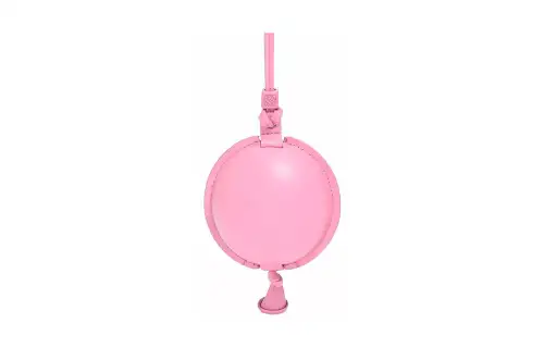 LOEWE Cow Leather Coin Purse Women's Pink