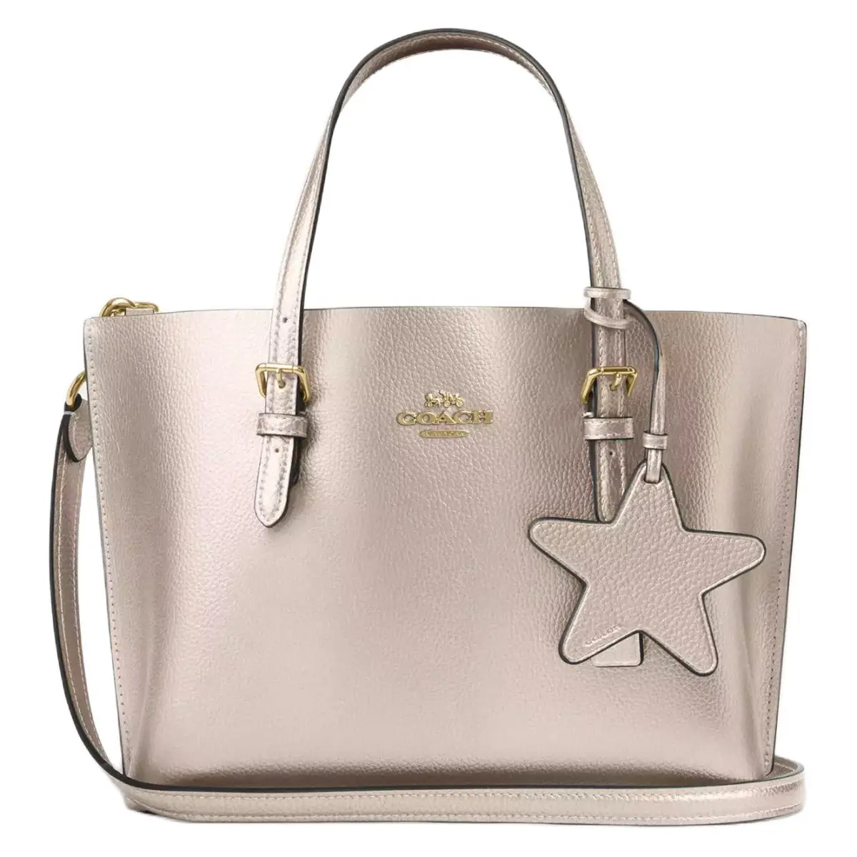 COACH Mollie Metal Double Sided Leather Tote Bag, Shopping Bag, Shoulder Bag, Crossbody Bag, Handbag Medium Women's
