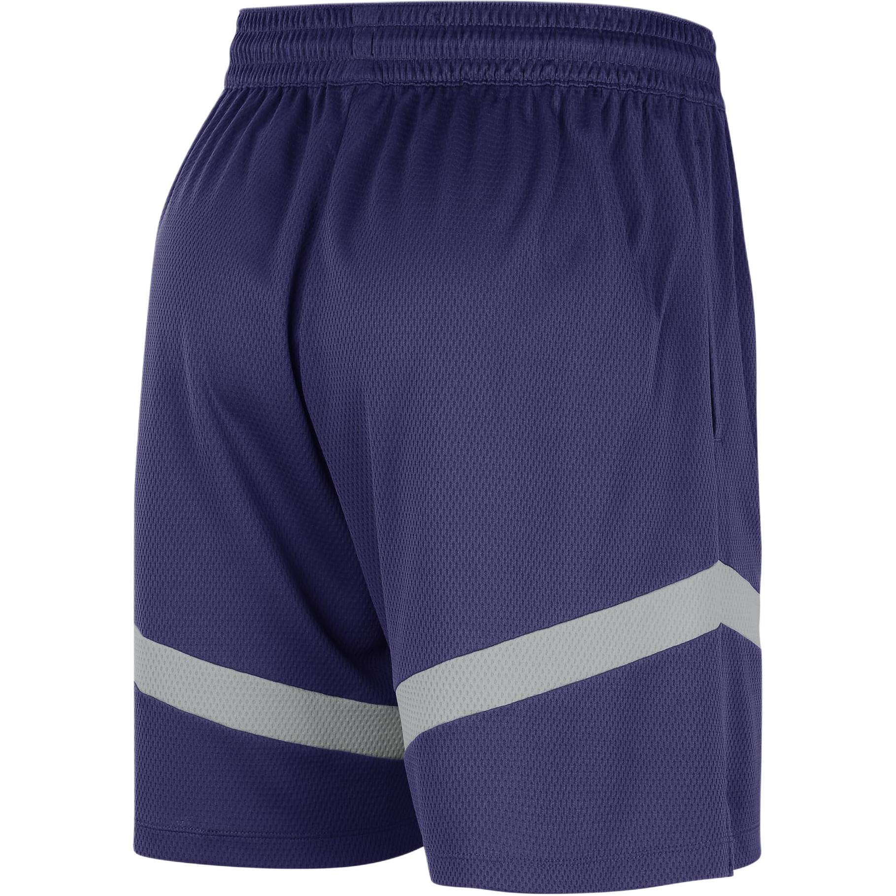 Nike DRI FIT NBAIcon FW24 Phoenix Suns Practice Sports Shorts Men’s New Orchid