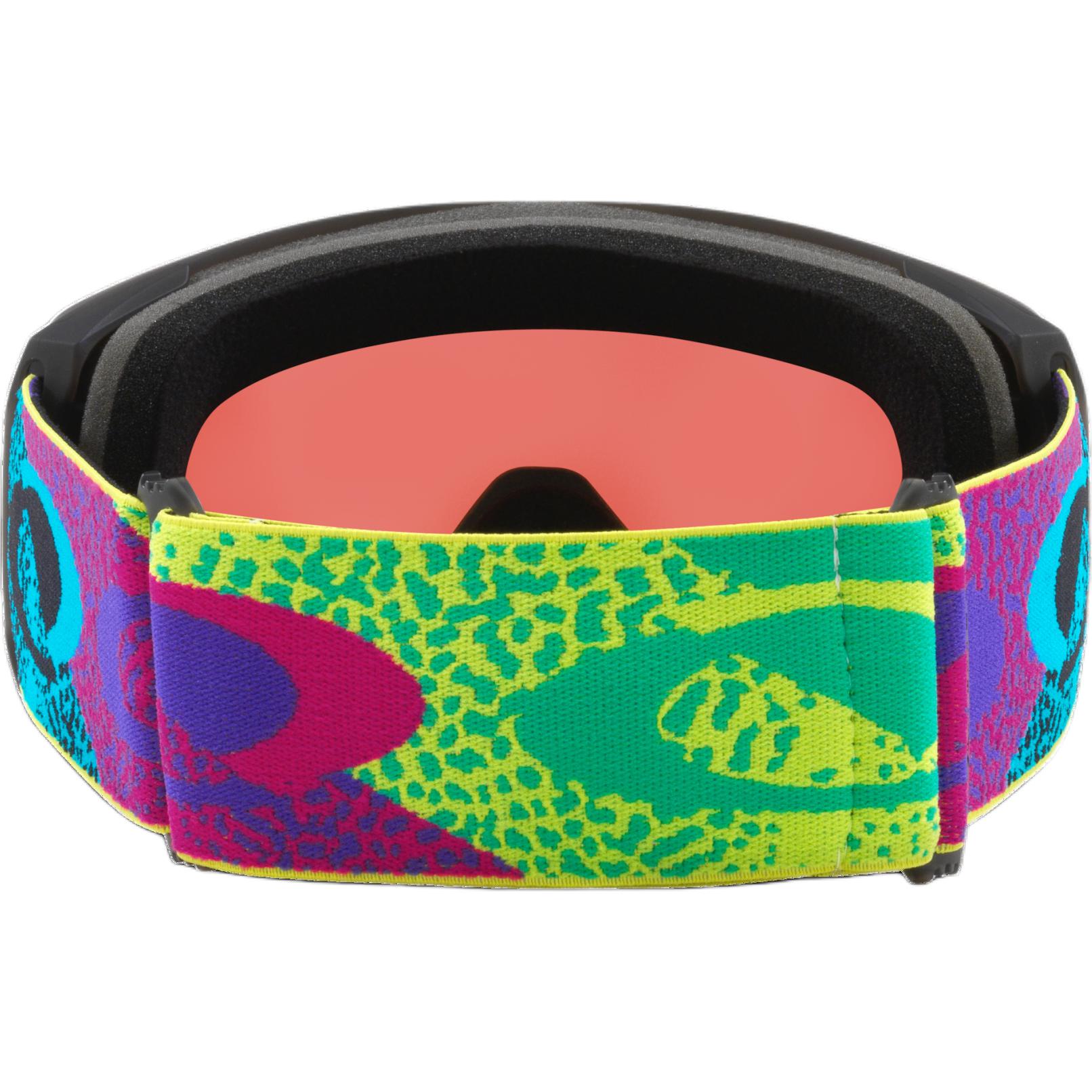 Oakley Ski Goggles