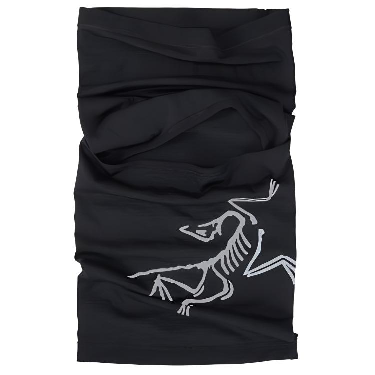 Мужская шапка Arcteryx Wool Hat (черная)