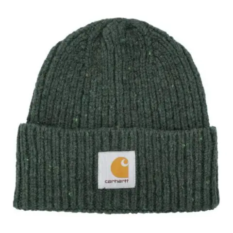 Carhartt Anglistic Beanie