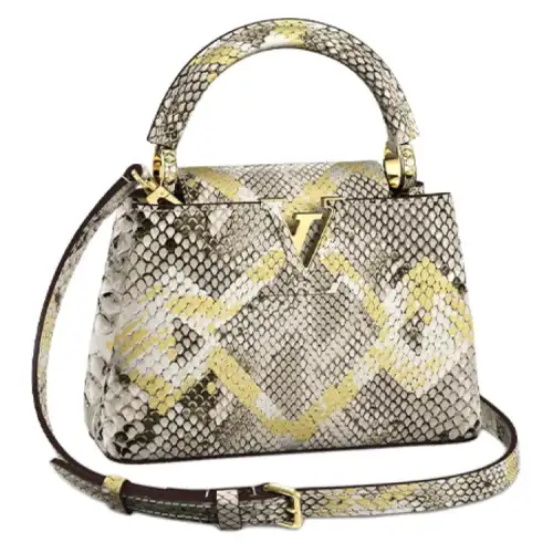 LOUIS VUITTON Capucines Python Skin Kapsyn Shoulder Bag, Crossbody Bag, Handbag Mini Women's Gold/Silver