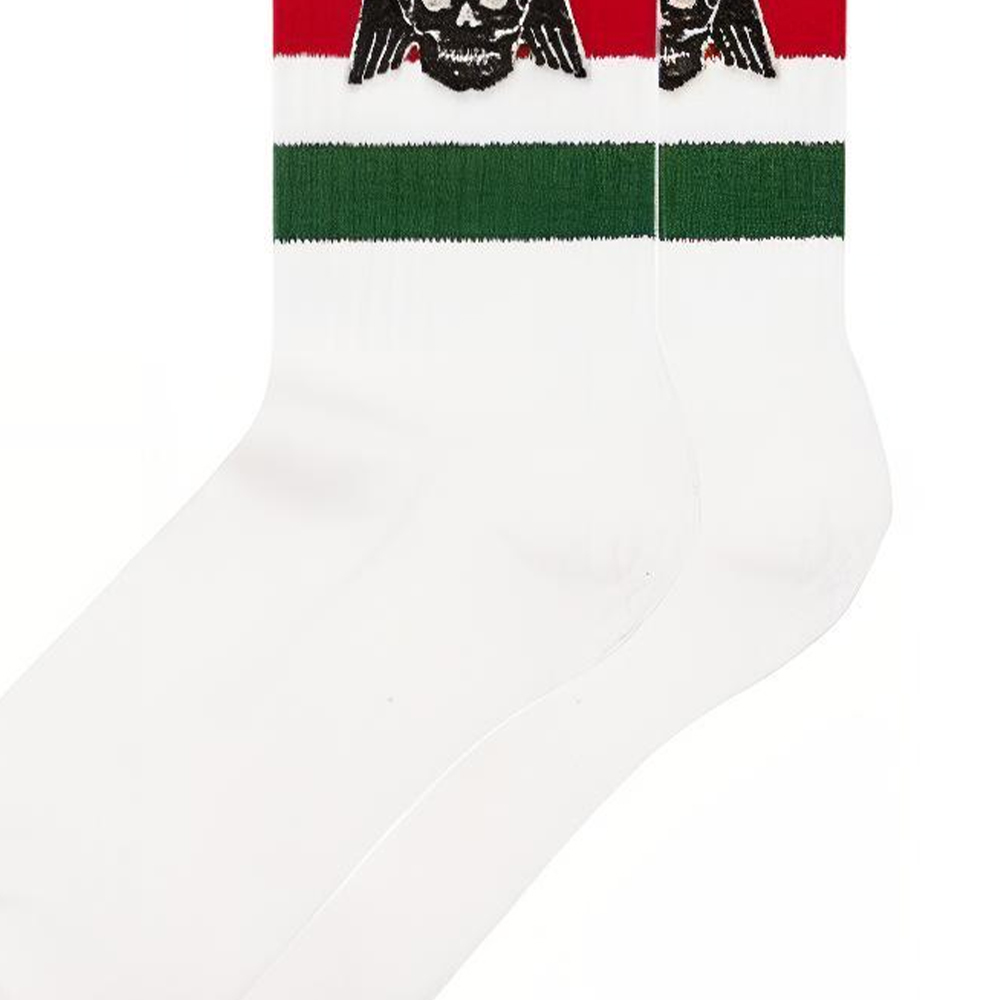 【Previous Season】Cotton socks with winged skull