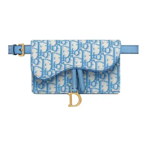 DIOR Saddle Canvas Saddle Sling Bag, Canvas Bag, One Shoulder Handbag, Fanny Pack Women's Cornflower Blue/Carolina Blue