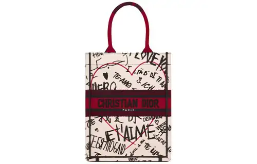 DIOR BookTote Handbags