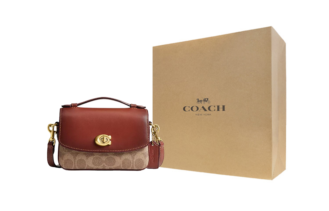 Женская сумка COACH Cassie 17 (ржаво-коричневая)