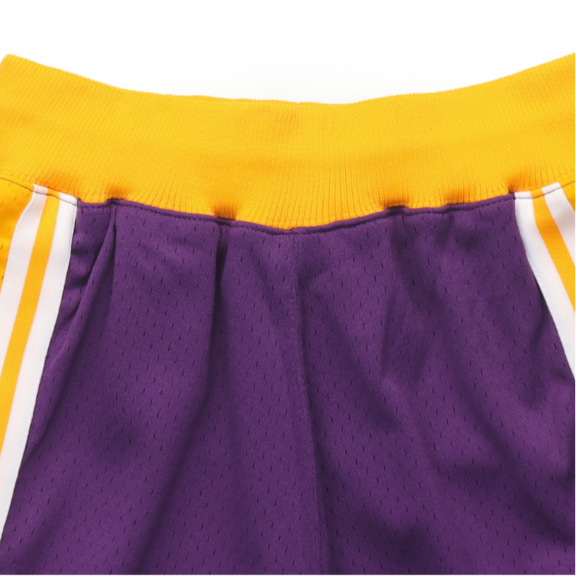 Mitchell Ness Basketball Shorts Unisex Purple
