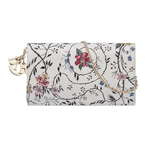 DIOR Clutches