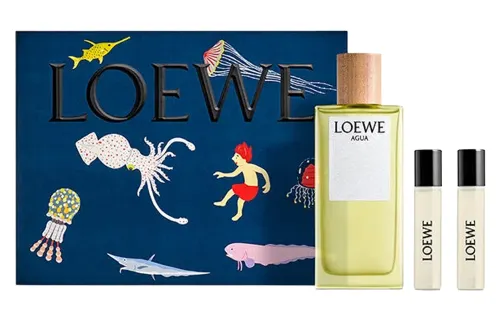LOEWE Agua Box