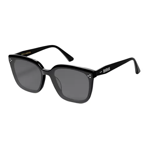 Gentle Monster Palette 01 tinted sunglasses