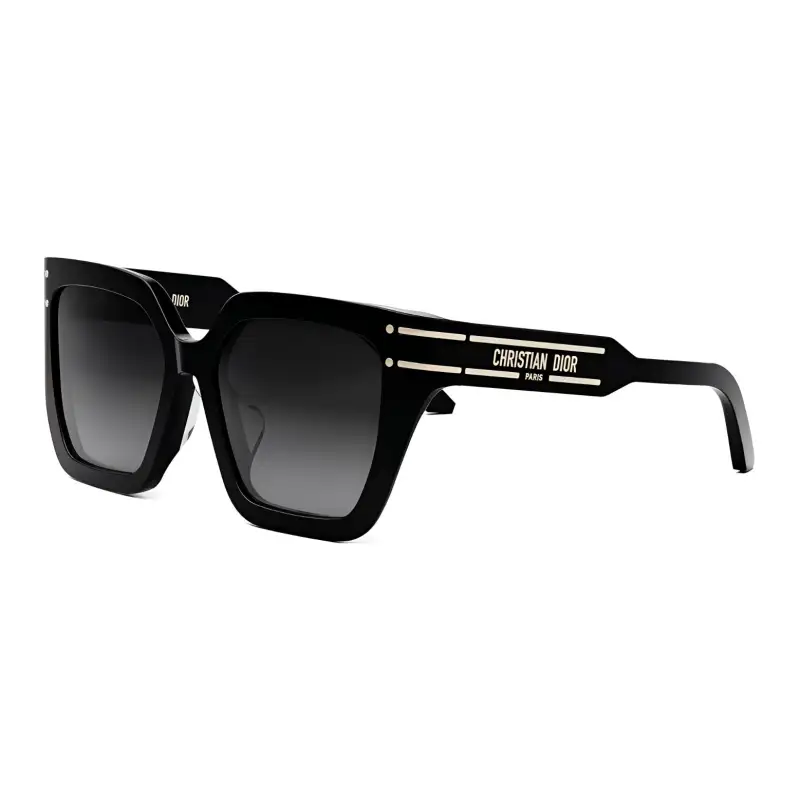 DIOR Butterfly Sunglasses Men's Black