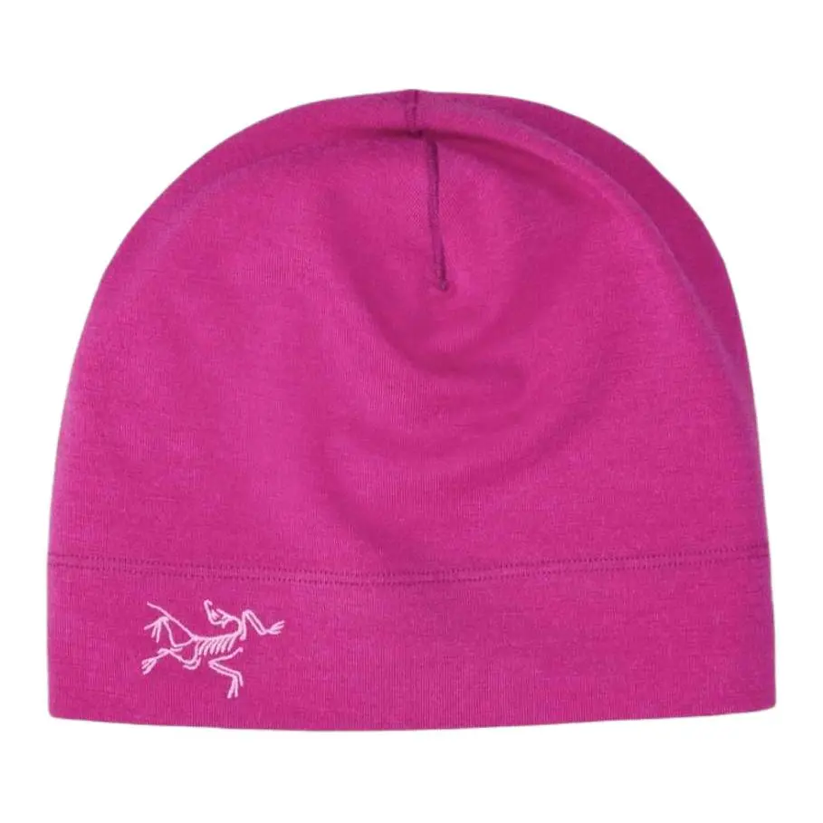 Arc'teryx Merino Wool Beanies Unisex Purple