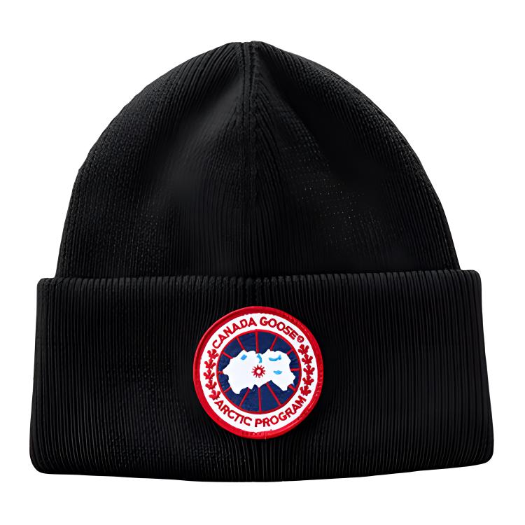 Мужская шапка Canada Goose 6936M (разноцветная)