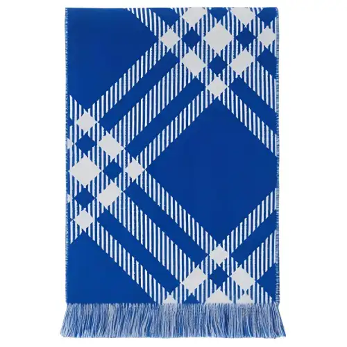 【Previous Season】check-print wool scarf