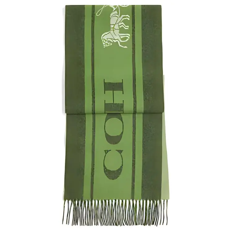 COACH Wool Knit Scarves Unisex Green