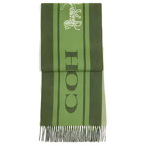 COACH Wool Knit Scarves Unisex Green
