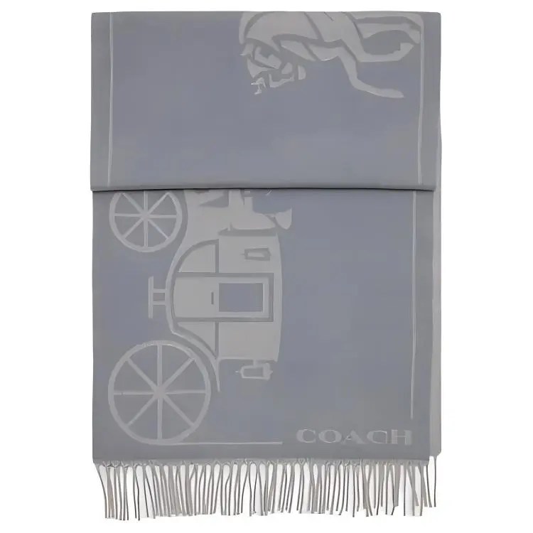 COACH Sheep Wool, Cashmere Knit Scarves Unisex Gray