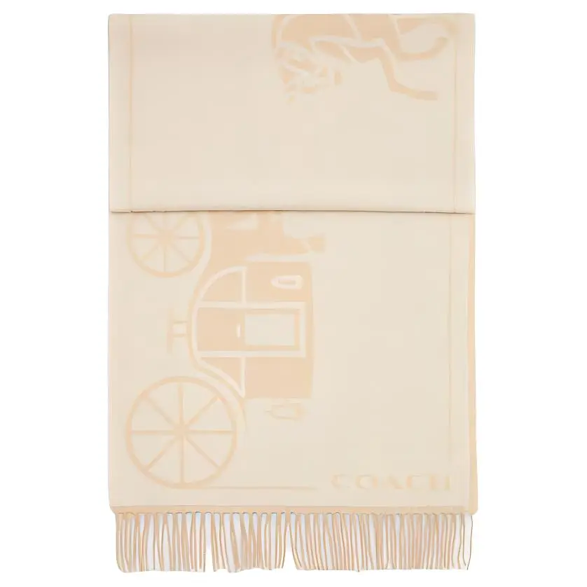 COACH Patterned Print Cashmere Knit Scarves Unisex Beige