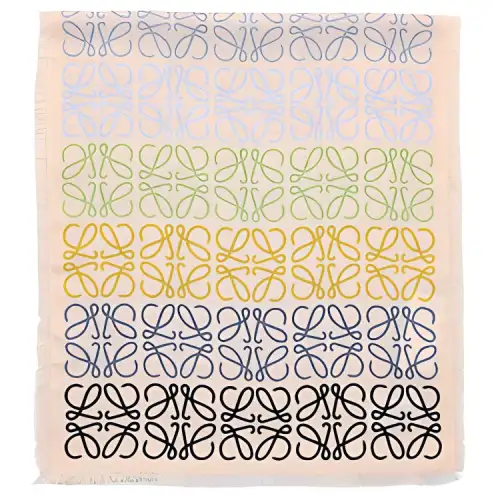 LOEWE Monogram Stripe Scarf