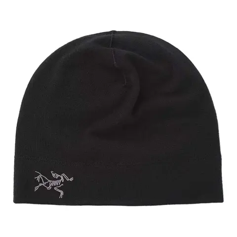Arc'teryx Polyester Elastane Beanies Unisex