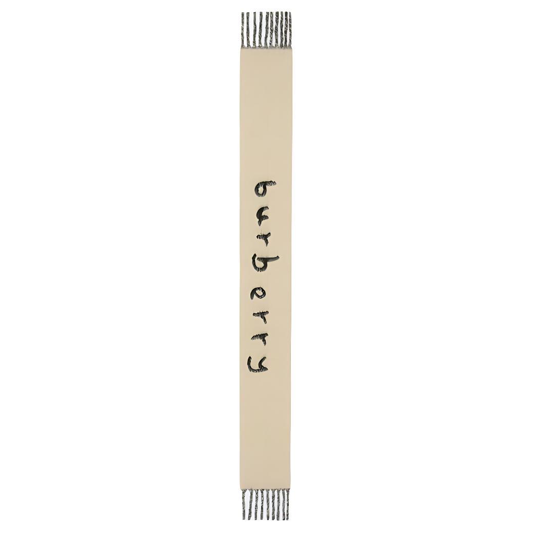 Шарф Burberry (белый)