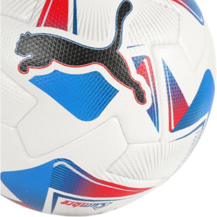PUMA Size 5 Soccer Ball Pu Seamless Thermal bonding Unisex Blue White