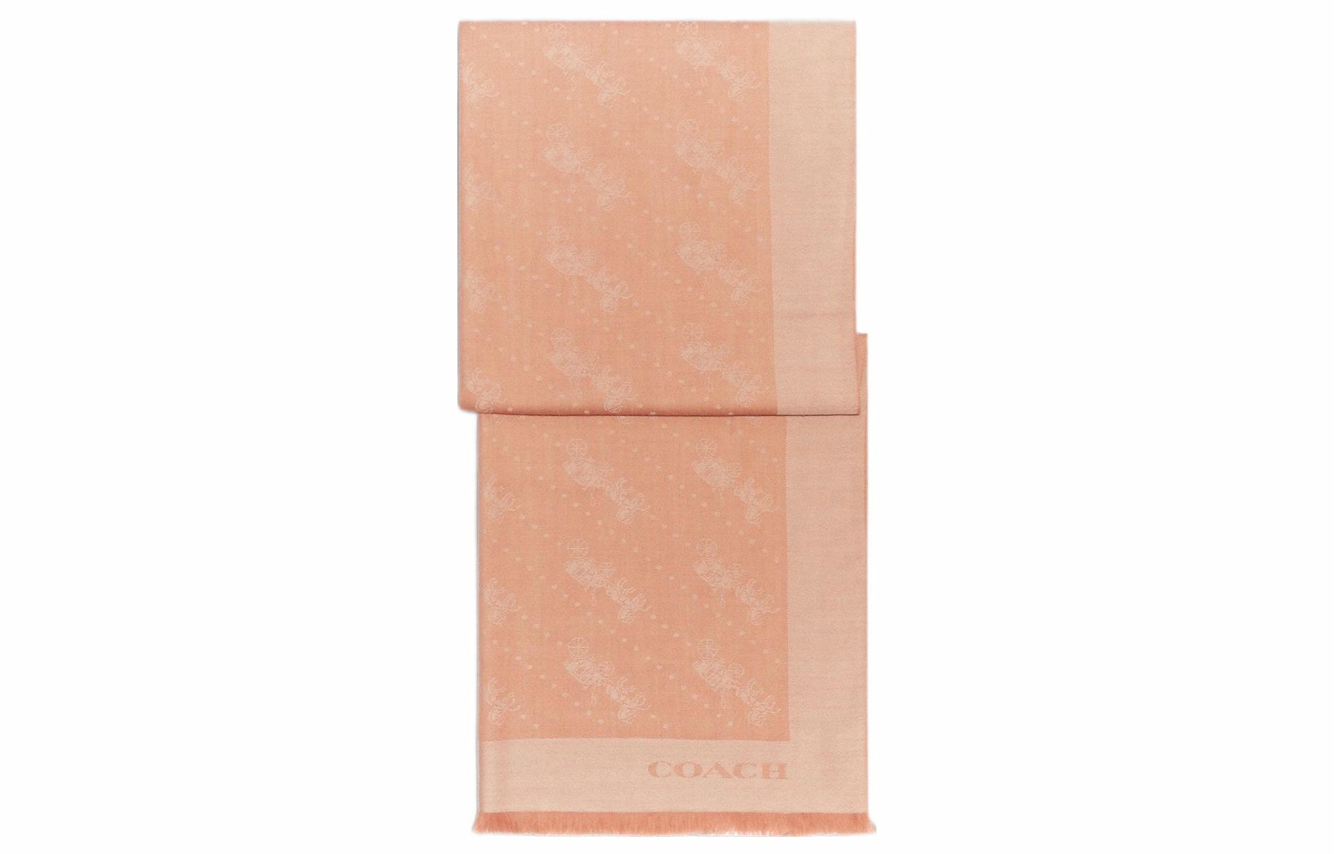 Женская сумка COACH Logo (коричневая)