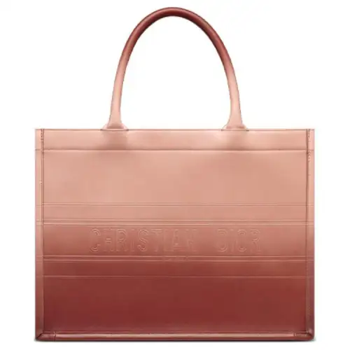 DIOR BookTote Handbags