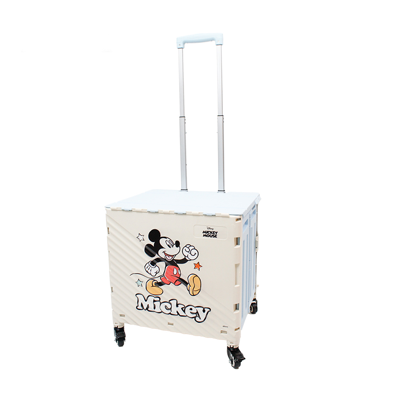 Disney Disney, plastic grocery shopping cart, storage system, high quality camper van, storage box