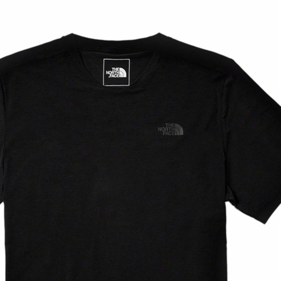 Мужская футболка The North Face THE NORTH FACE T (черный) — фото 3