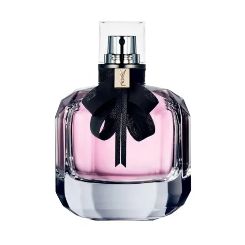 SAINT LAURENT Reverse Paris Classic Version