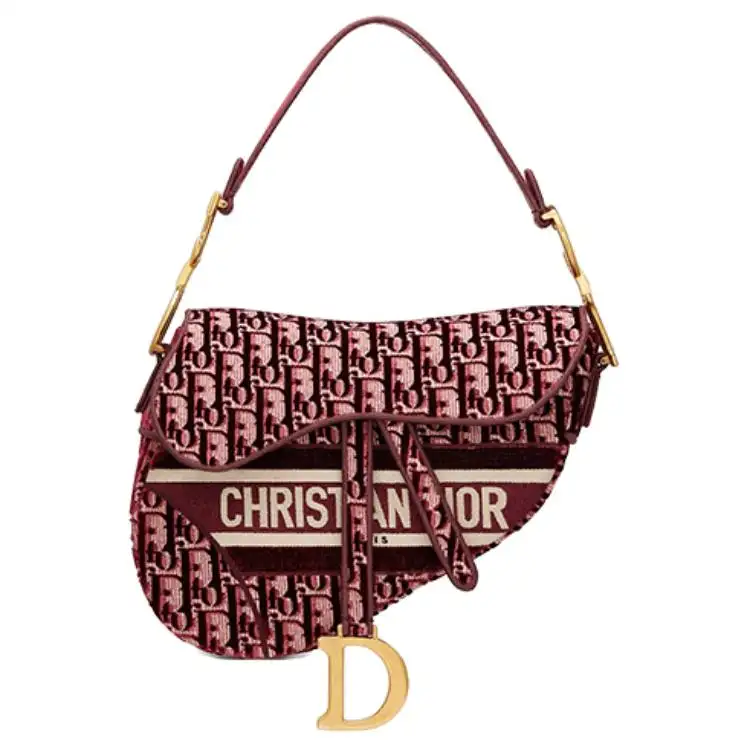 DIOR Saddle Shoulder Bags