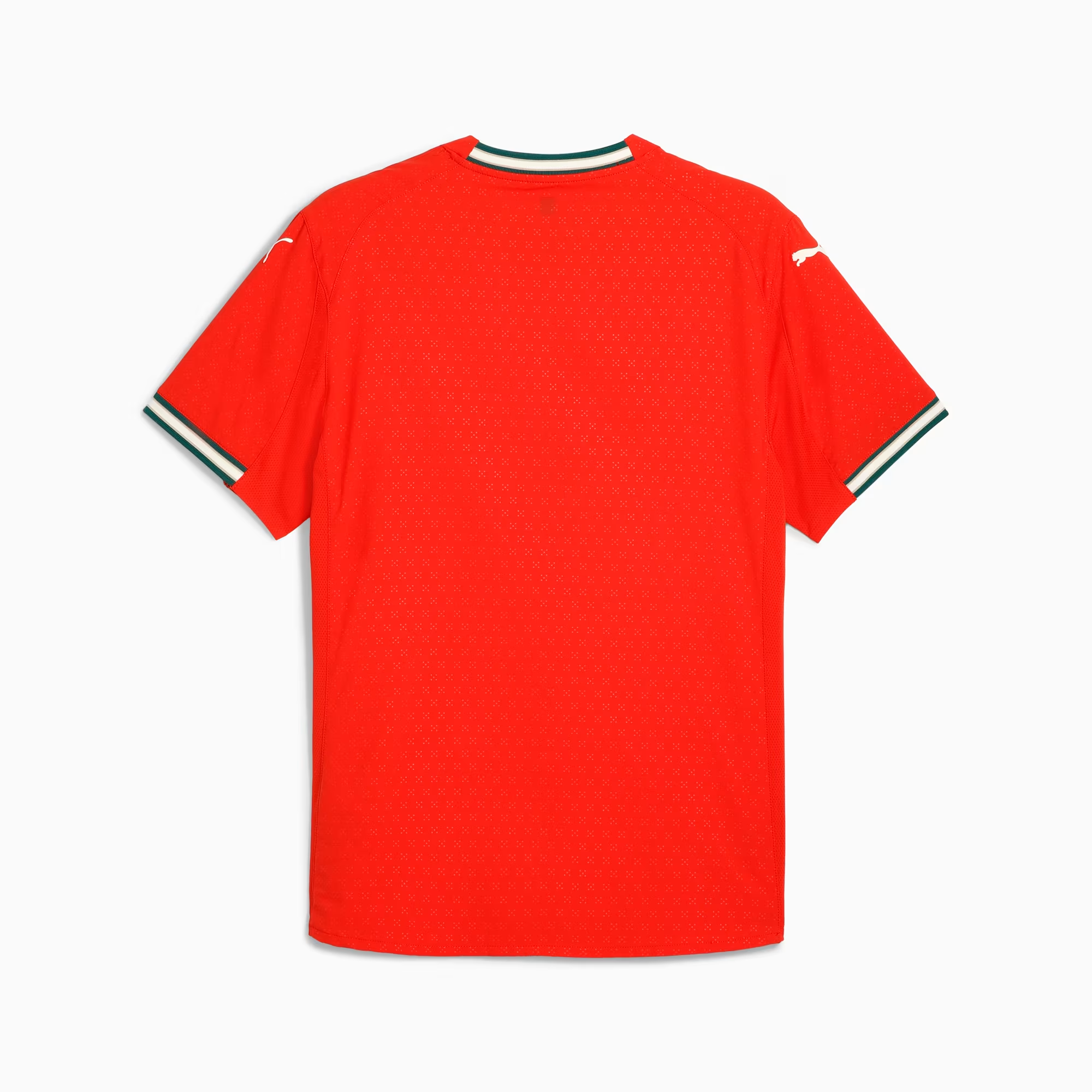 PUMA Camiseta De Fútbol Local Auténtica Para Hombre De La Selección De Portugal ’25