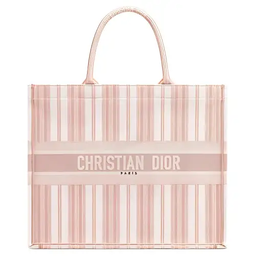 DIOR BookTote Handbags