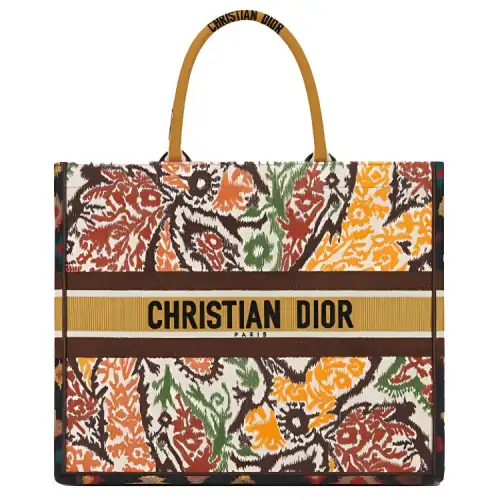 DIOR BookTote Handbags